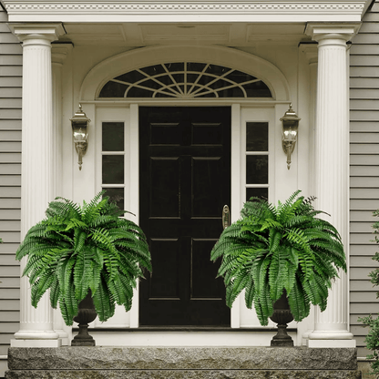 Last Day 80% OFF--UV Resistant Lifelike Artificial Boston Fern🍀