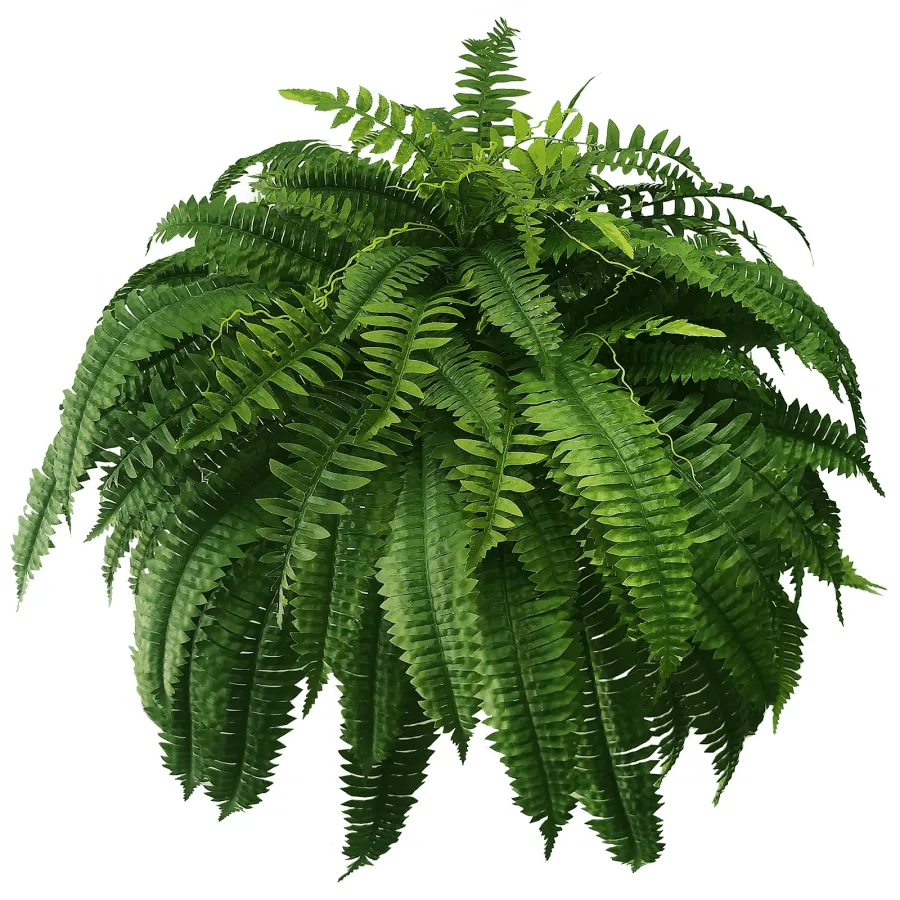 Last Day 80% OFF--UV Resistant Lifelike Artificial Boston Fern🍀