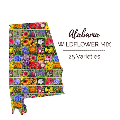 Alabama Wildflower Seed Mix