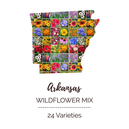 Arkansas Wildflower Seed Mix