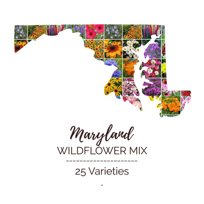 Maryland Wildflower Seed Mix