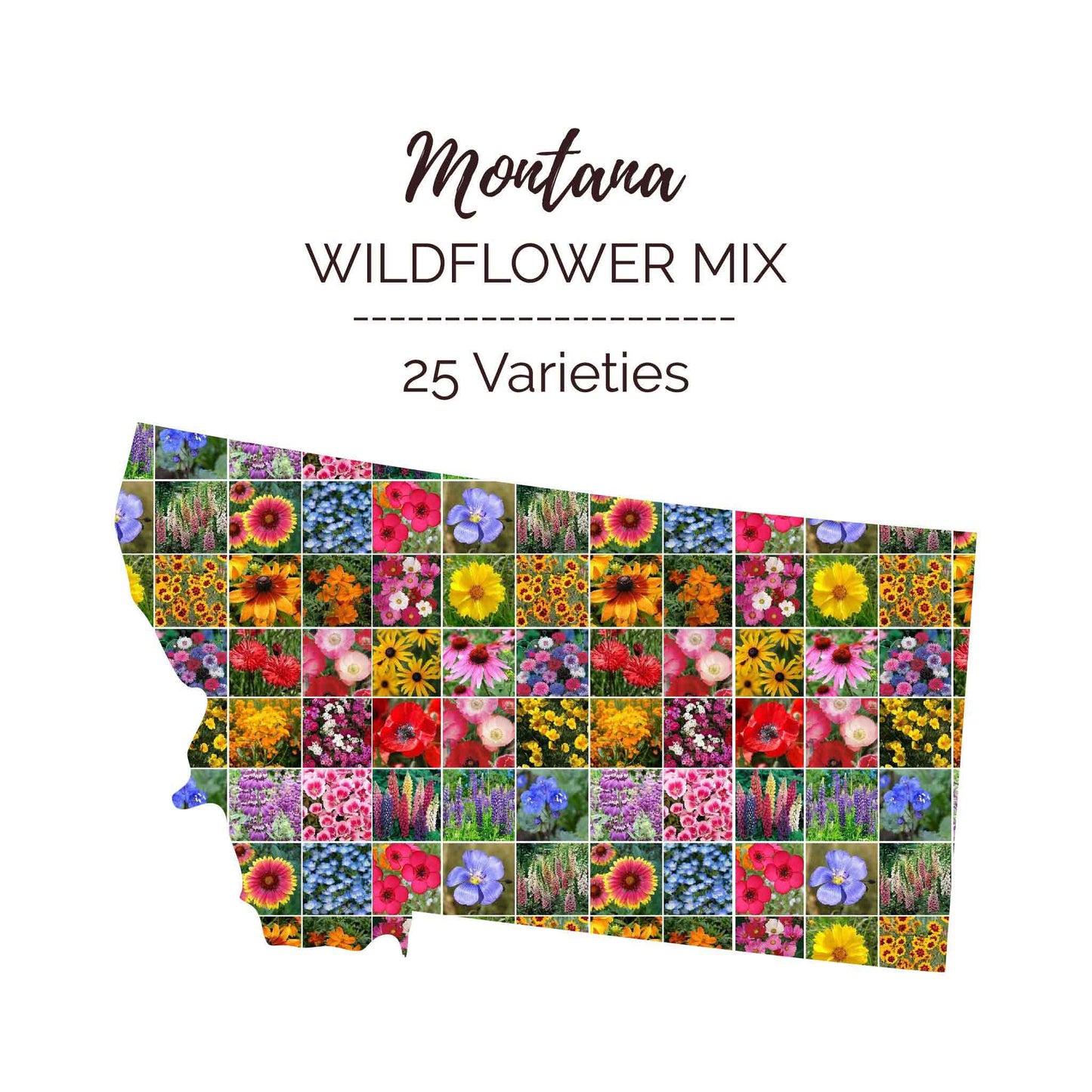 Montana Wildflower Seed Mix