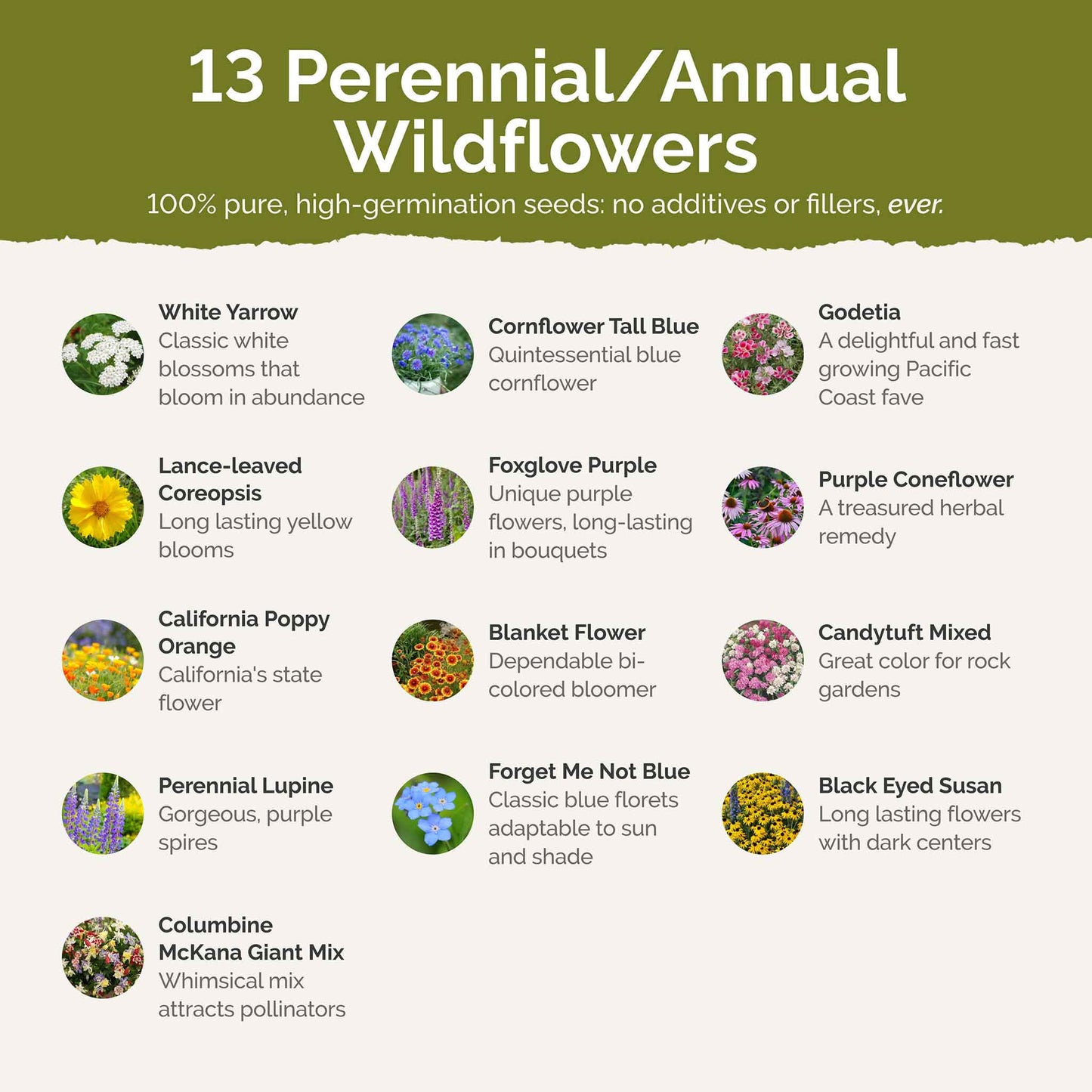 Alaska Wildflower Seed Mix