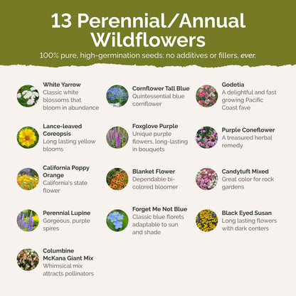 Alaska Wildflower Seed Mix