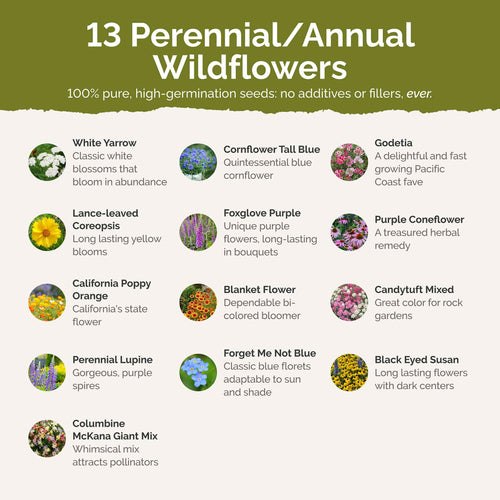 Alaska Wildflower Seed Mix