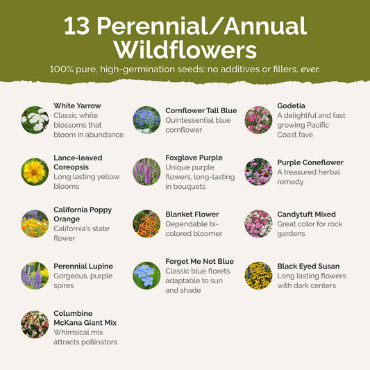 Alaska Wildflower Seed Mix