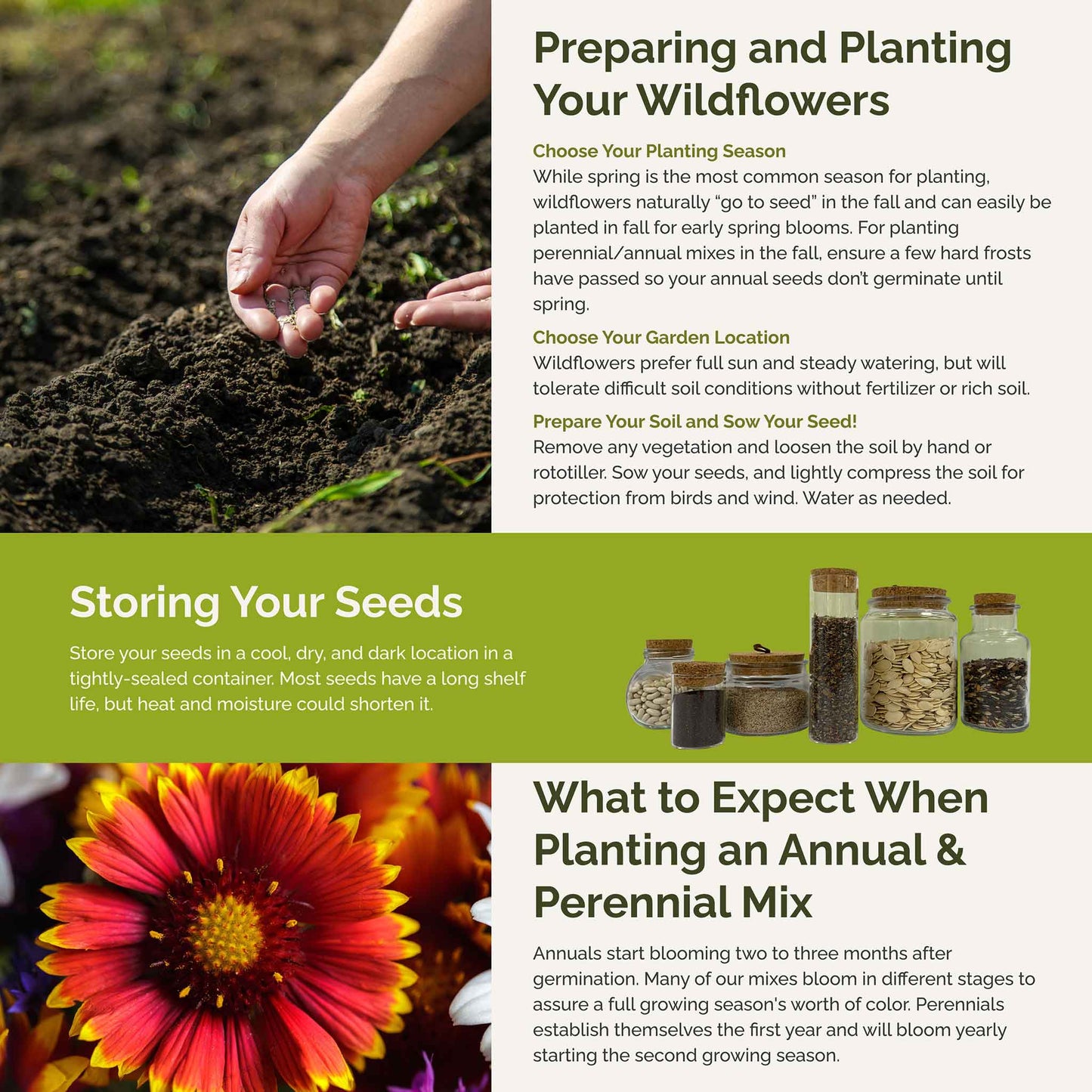 Alaska Wildflower Seed Mix