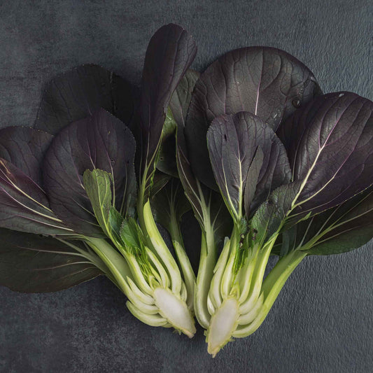 Chinese Cabbage Seeds - Pak Choy Red Inferno