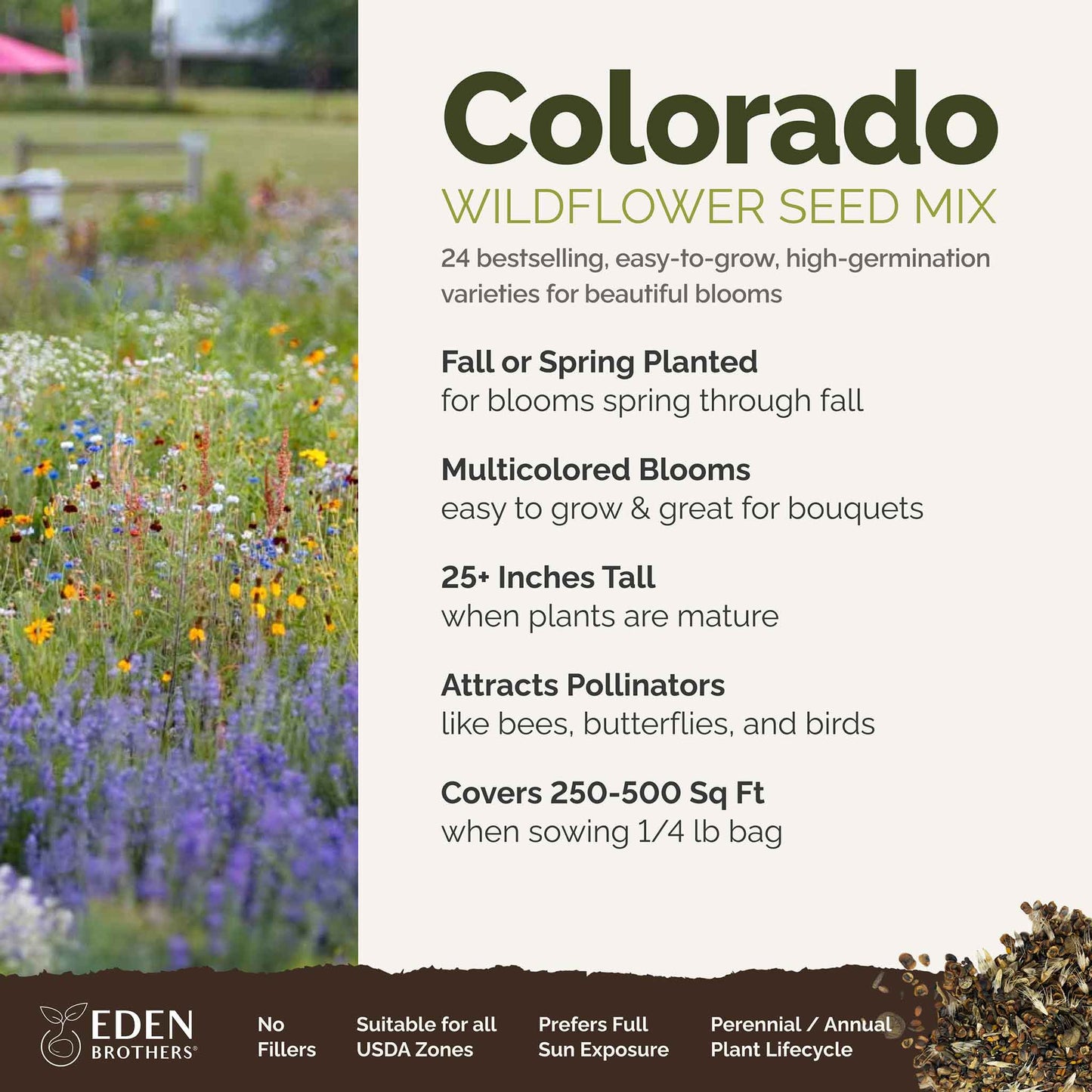 Colorado Wildflower Seed Mix