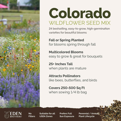 Colorado Wildflower Seed Mix