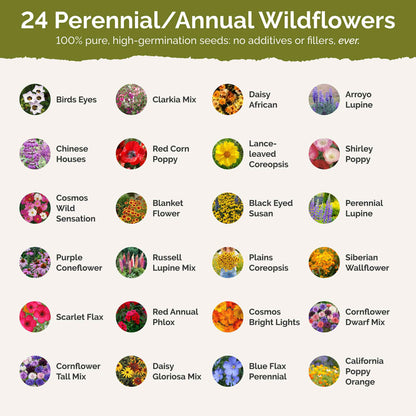 Colorado Wildflower Seed Mix