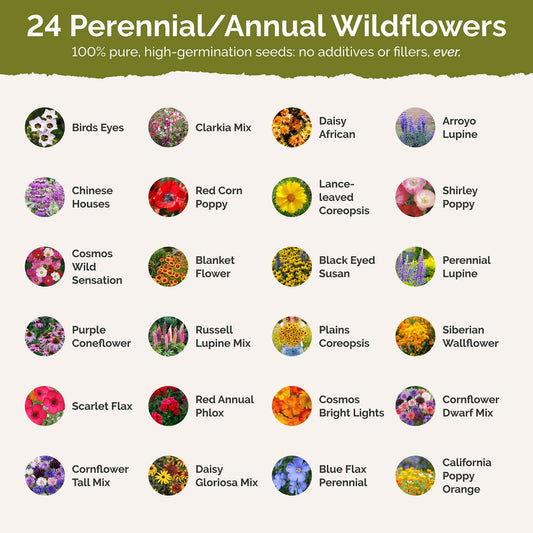 Colorado Wildflower Seed Mix