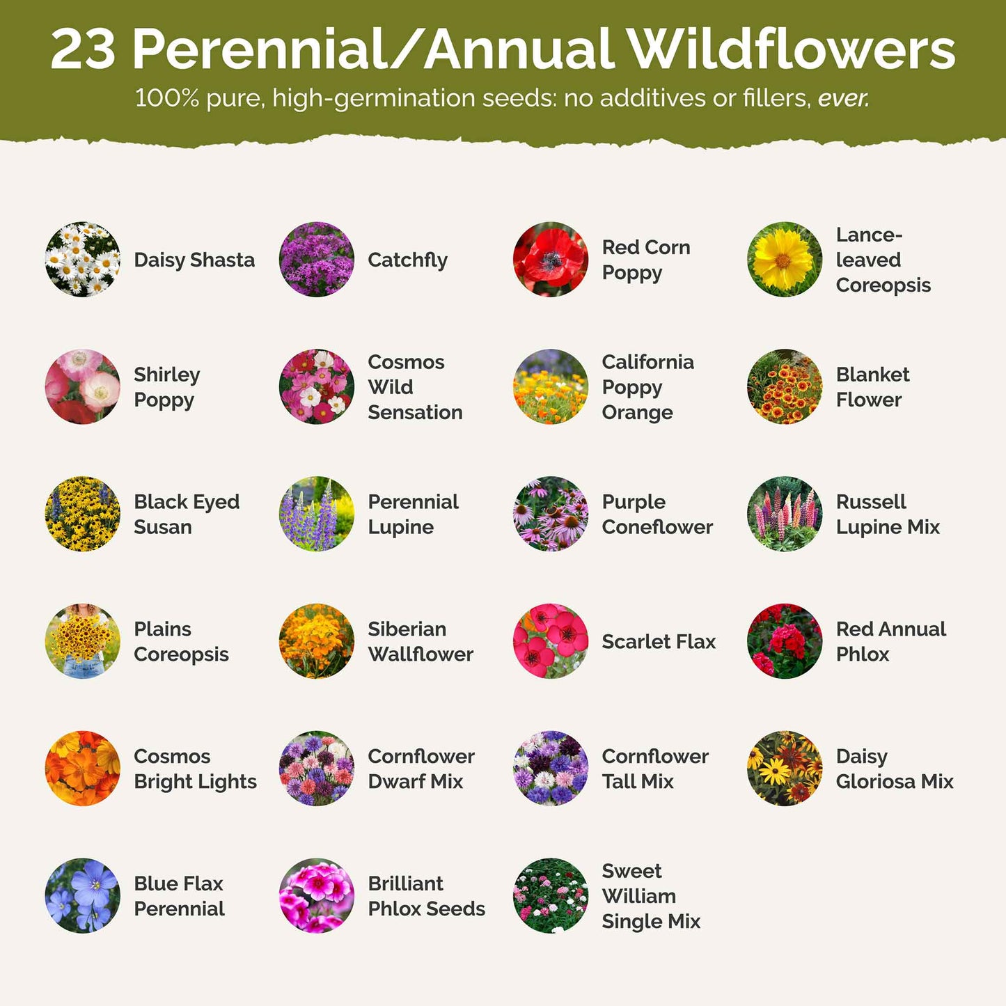 Delaware Wildflower Seed Mix