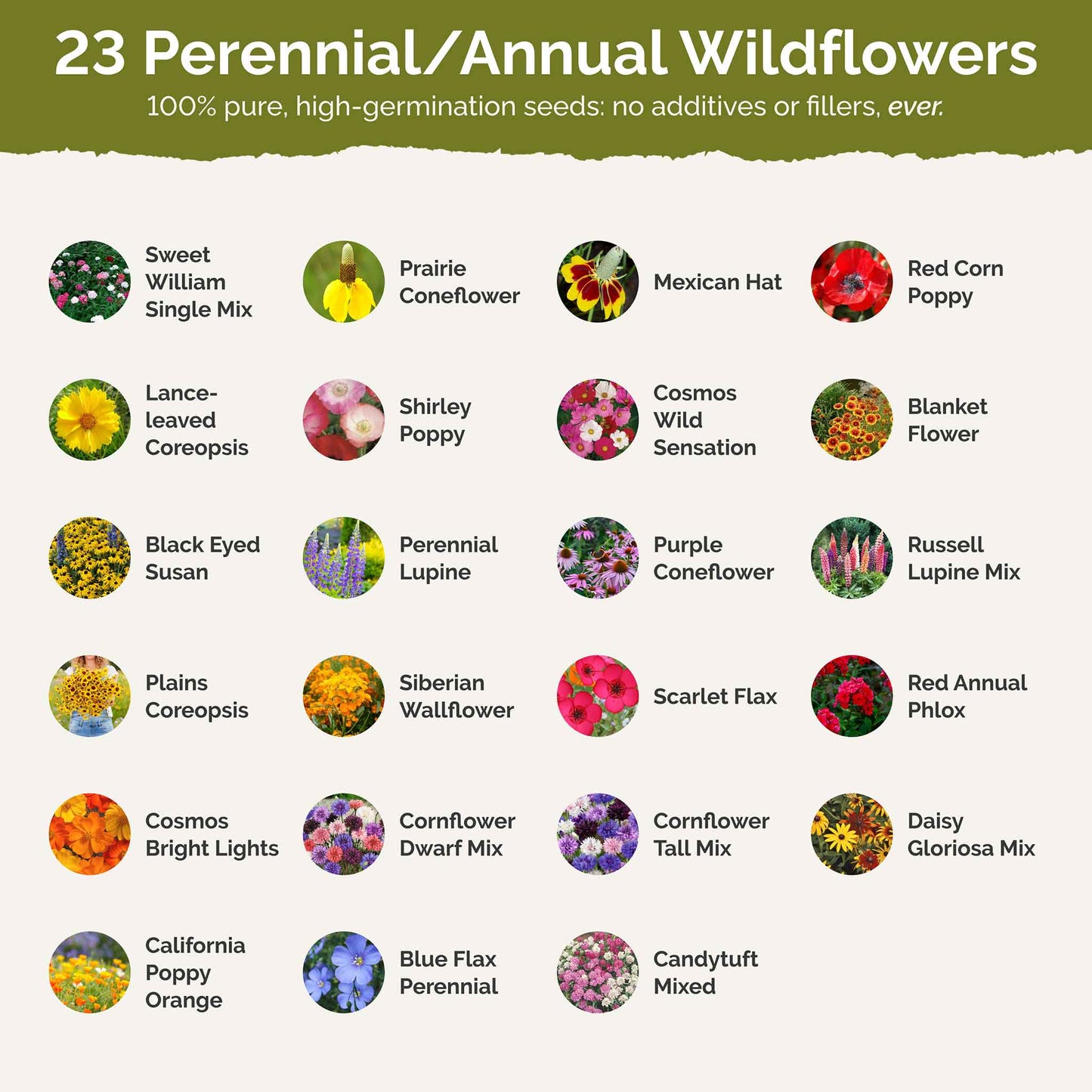 Kansas Wildflower Seed Mix