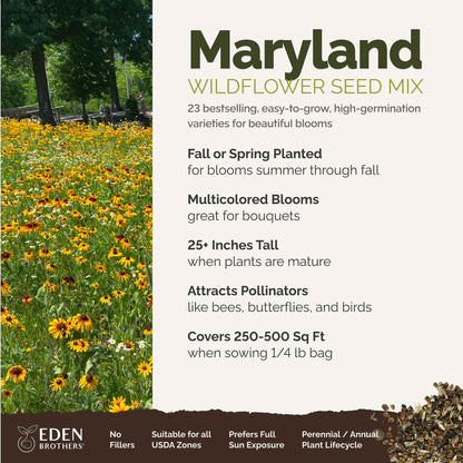 Maryland Wildflower Seed Mix