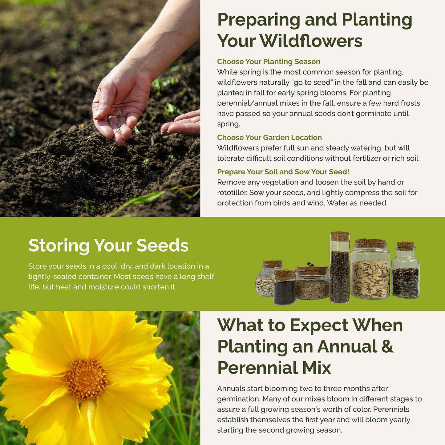 Mississippi Wildflower Seed Mix
