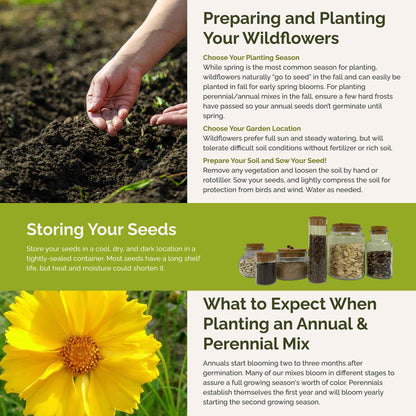 Mississippi Wildflower Seed Mix
