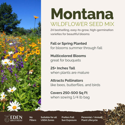 Montana Wildflower Seed Mix