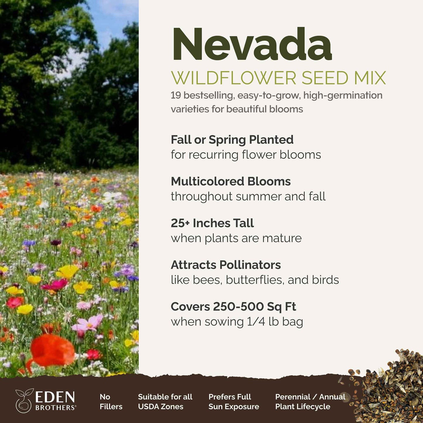 Nevada Wildflower Seed Mix