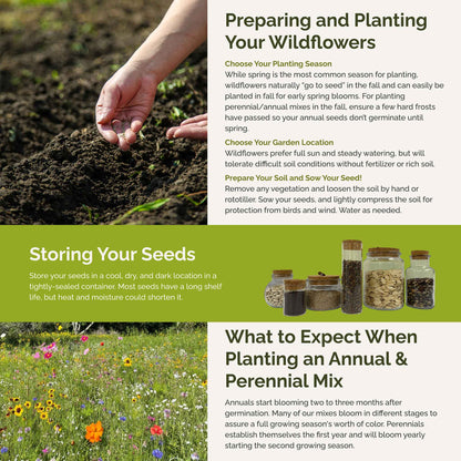 Oklahoma Wildflower Seed Mix