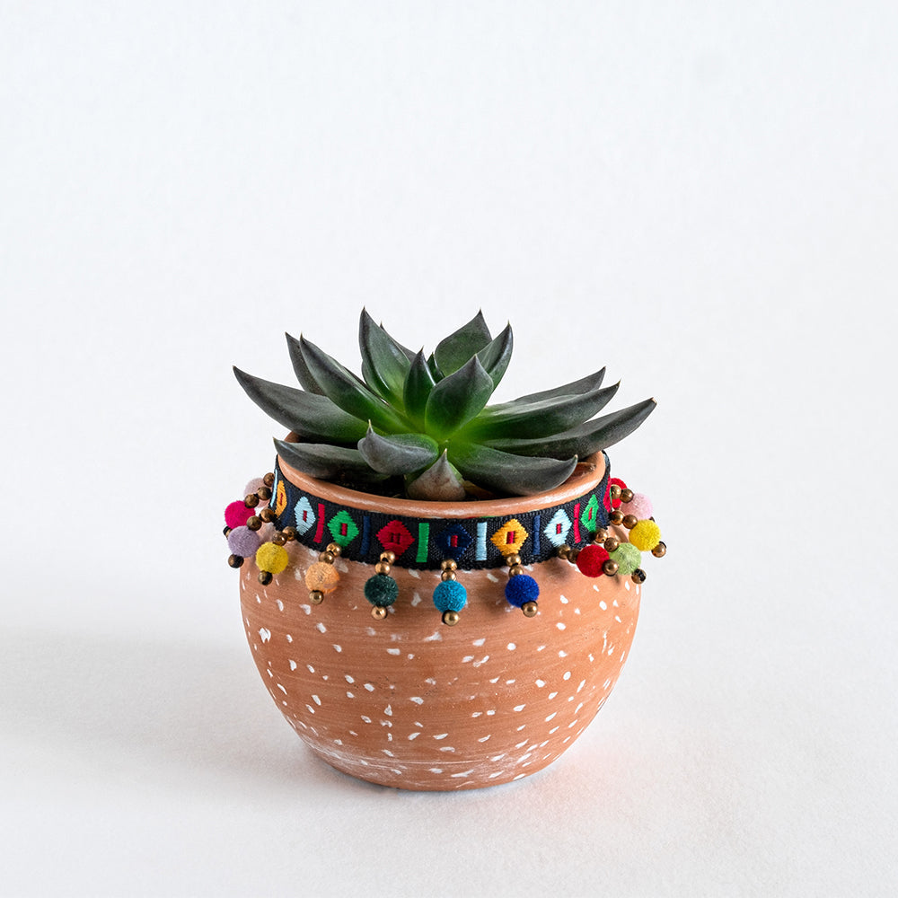 Elegant Orchid Pot