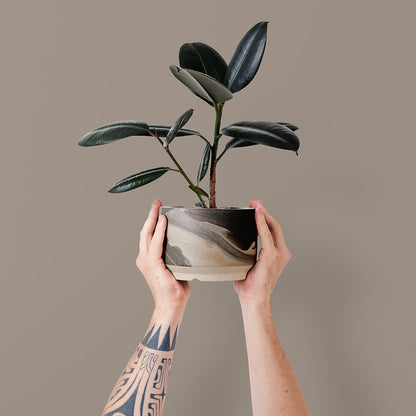 Modern Metallic Planter