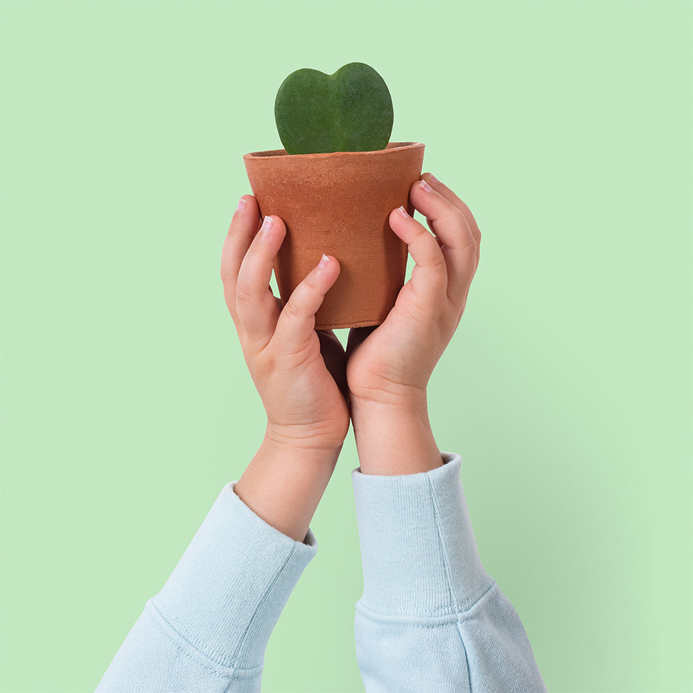 Hanging Herb Garden