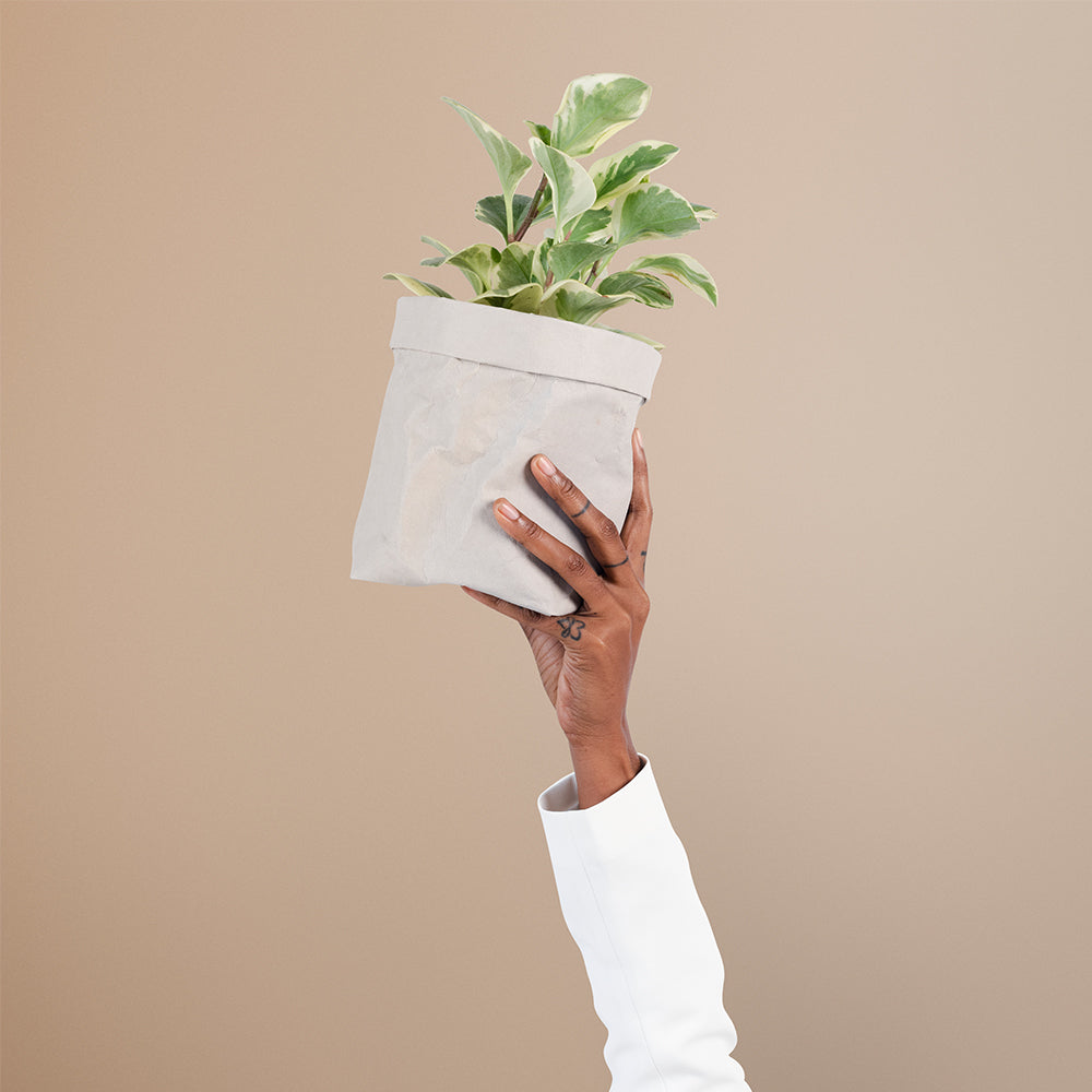 Fairy Garden Mini Pots