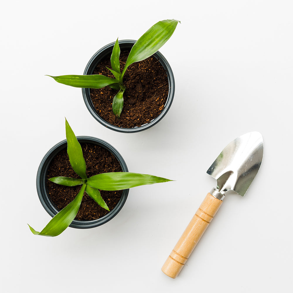 Hanging Herb Garden