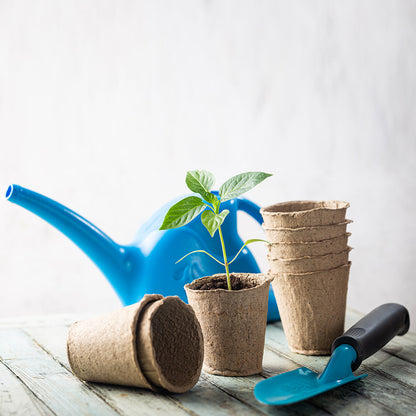 Blooming Rose Planter