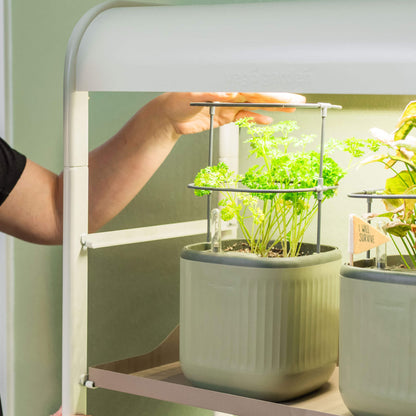 2 Tier Grow Light Garden