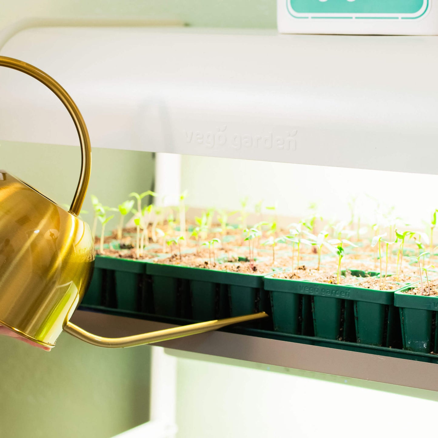 2 Tier Grow Light Garden