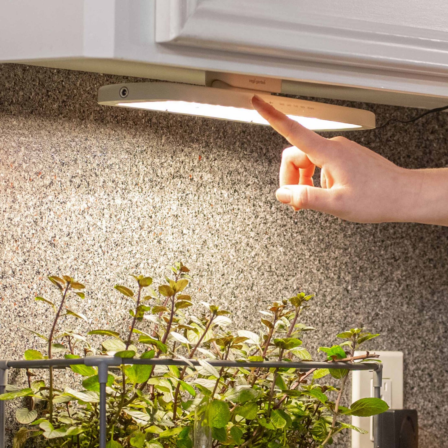 The Vego Grow Light