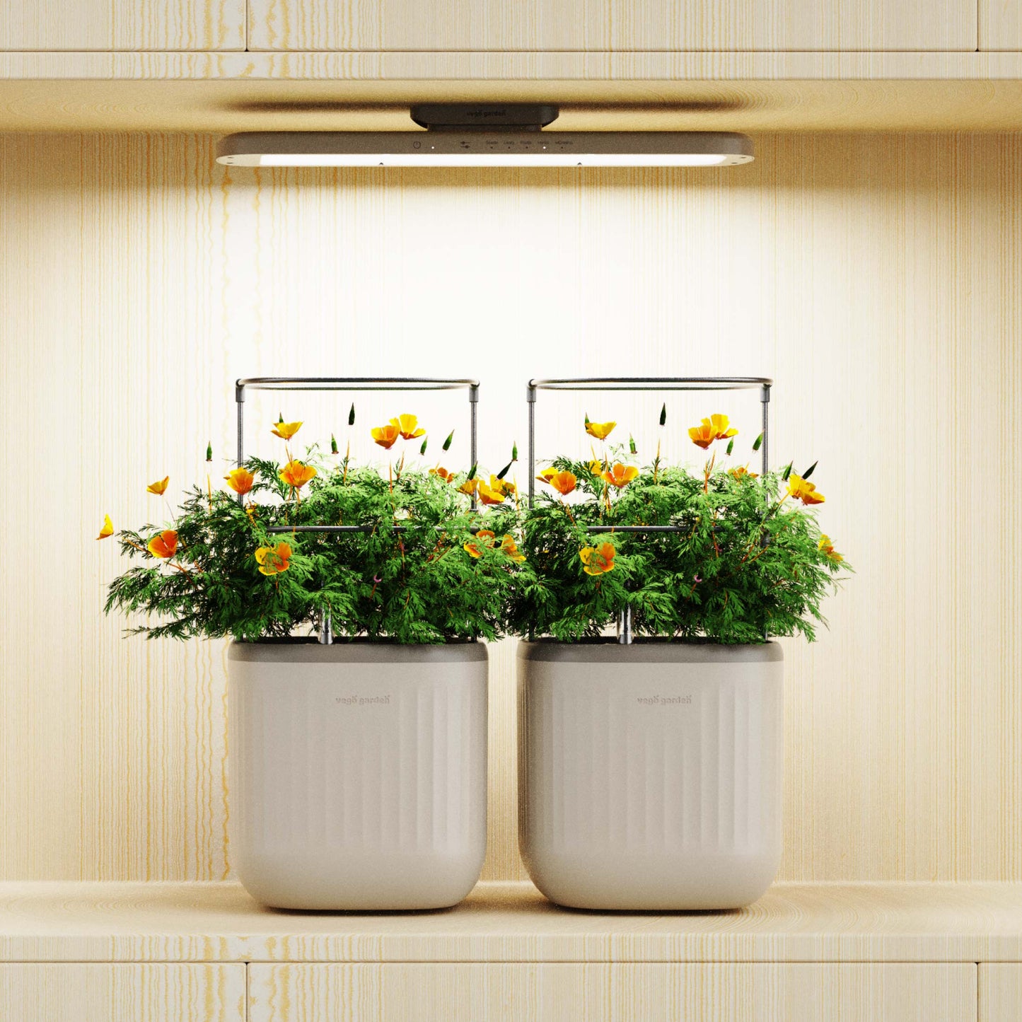 The Vego Grow Light