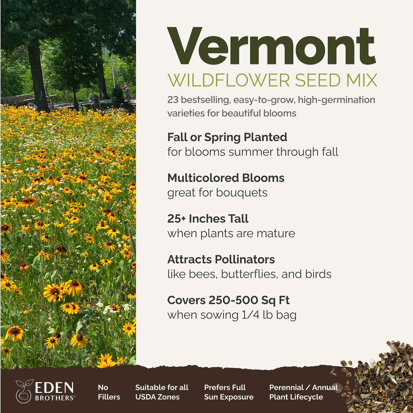Vermont Wildflower Seed Mix