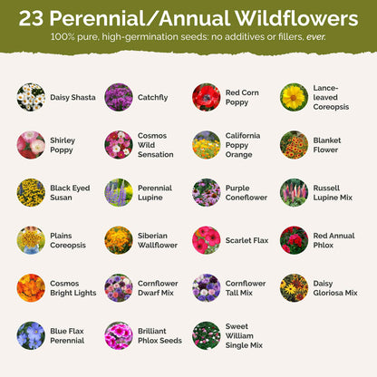 Vermont Wildflower Seed Mix