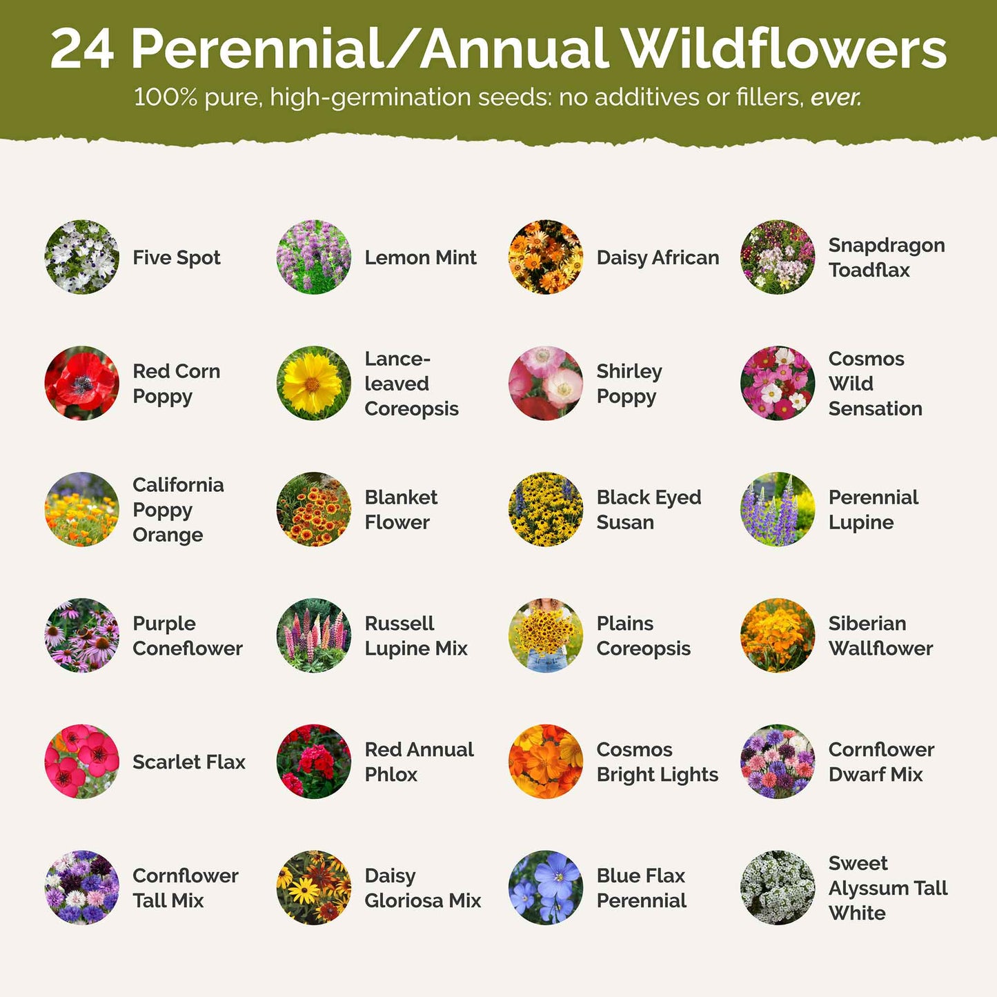 West Virginia Wildflower Seed Mix